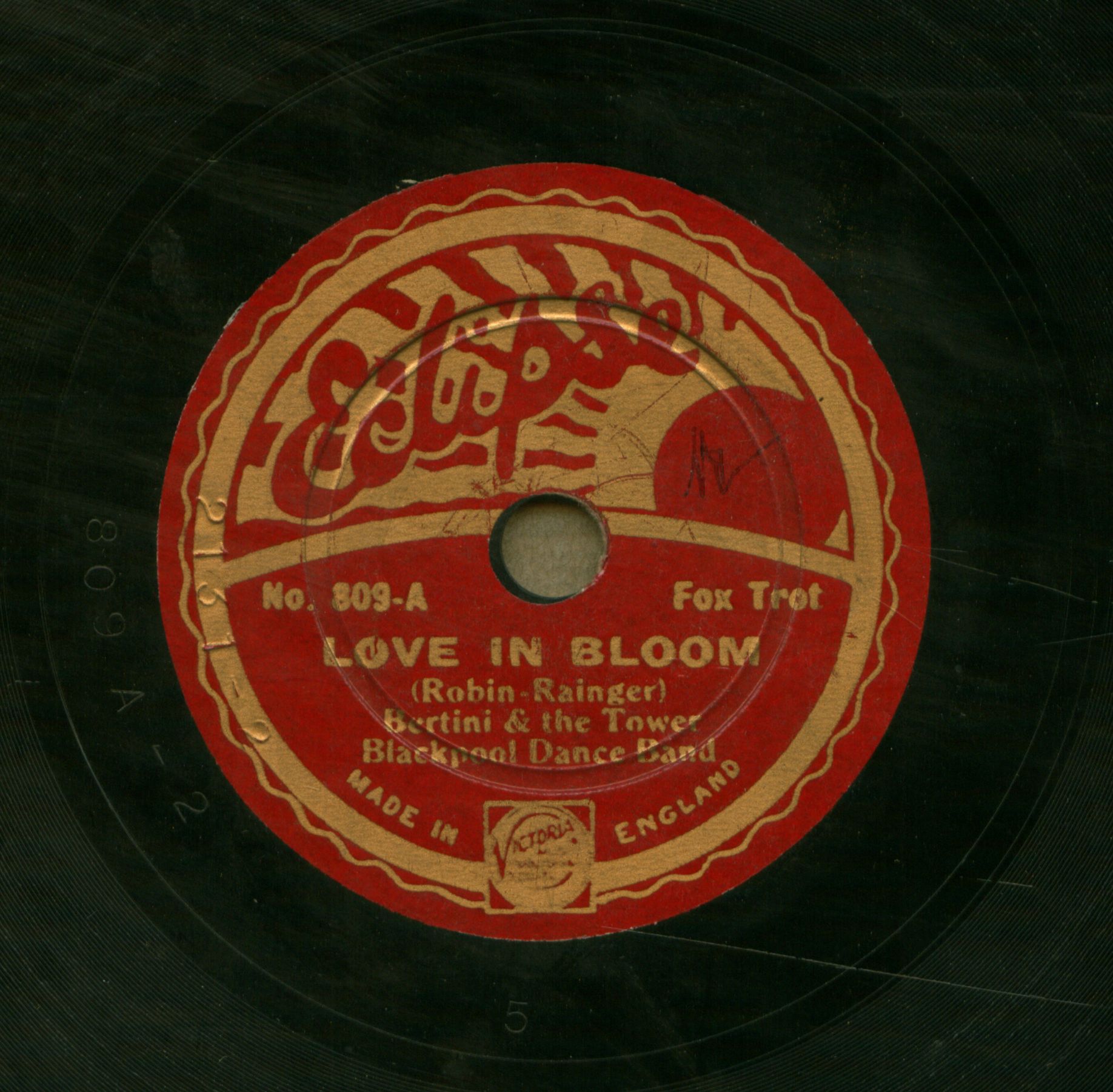 Love in bloom
